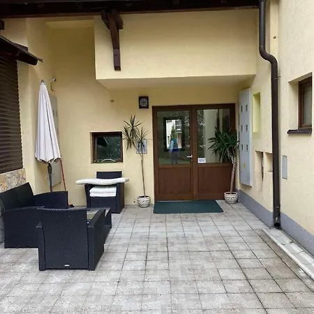 10 ズラティボール